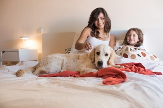 Ditch the Dust With a Mattress Protector